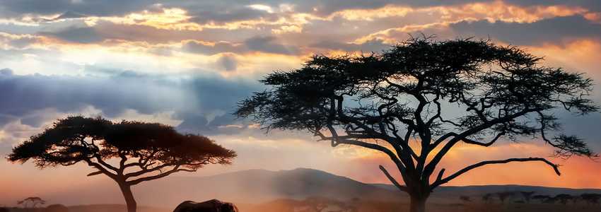 Quinto Blog de prueba